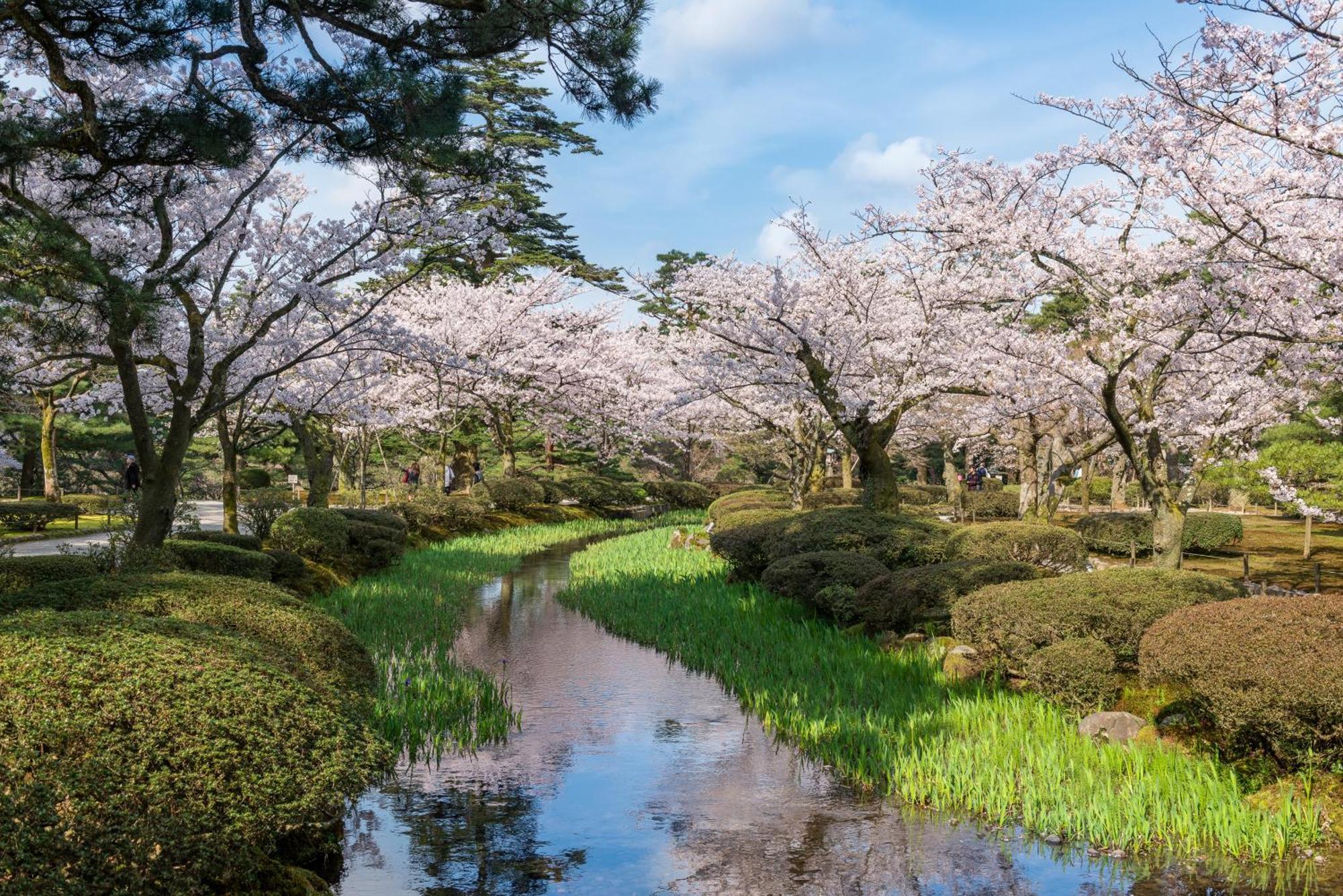 Tokyu Stay Kanazawa Bagian luar foto
