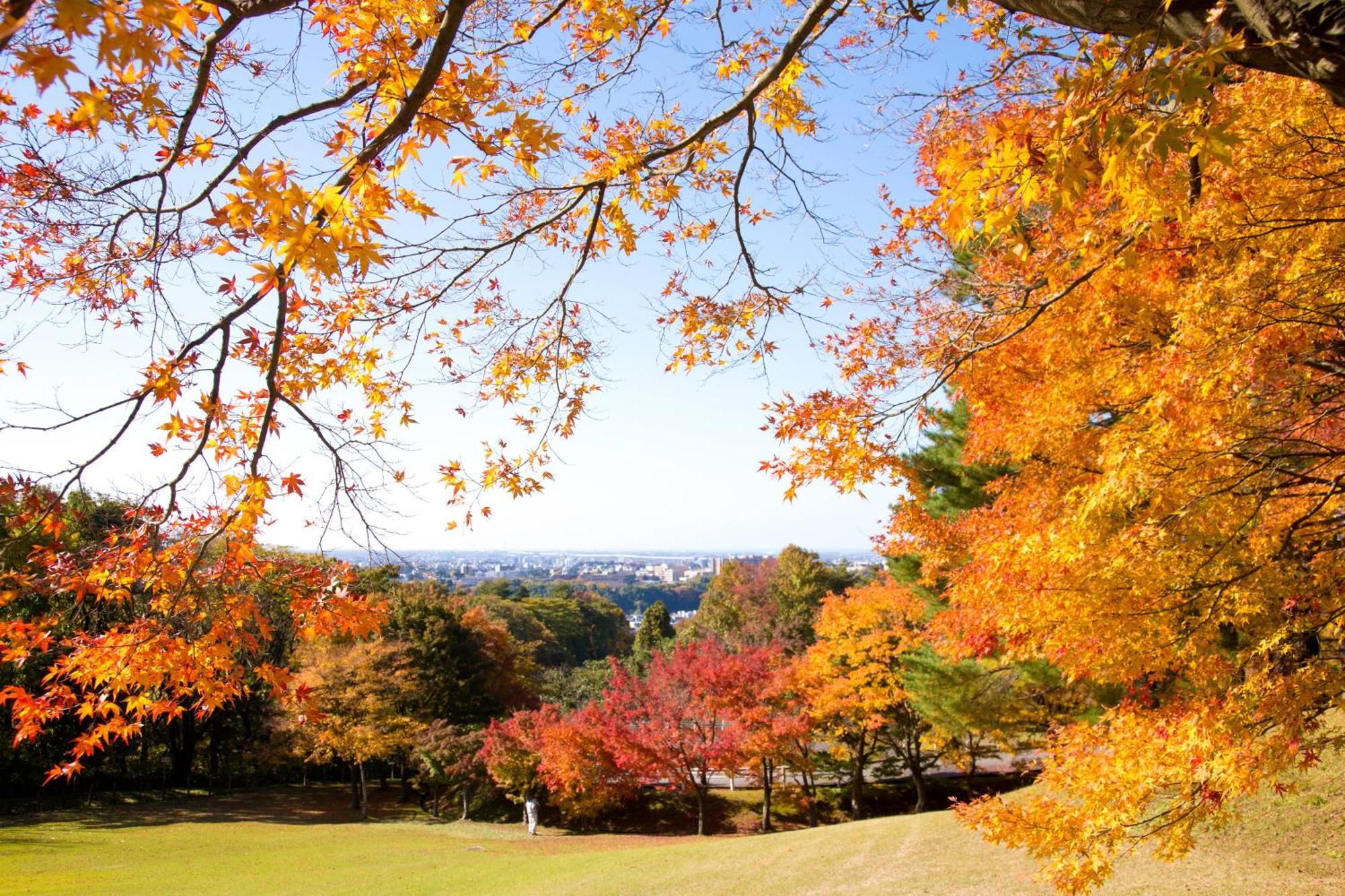 Tokyu Stay Kanazawa Bagian luar foto